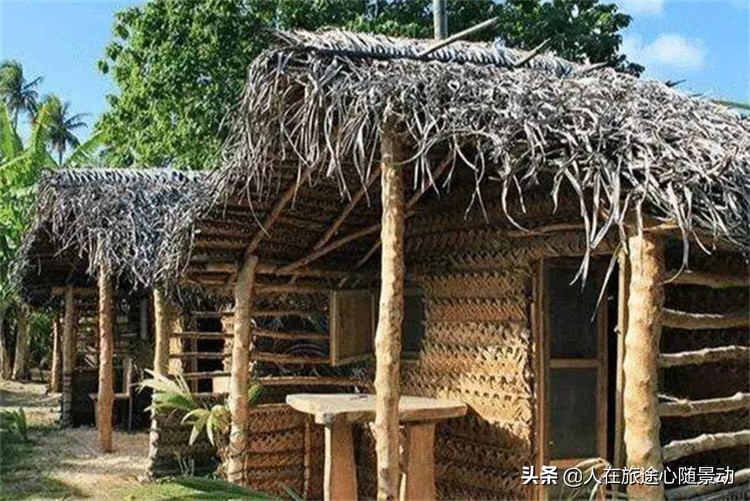 汤加王国追鲸之旅,南太平洋小岛国汤加