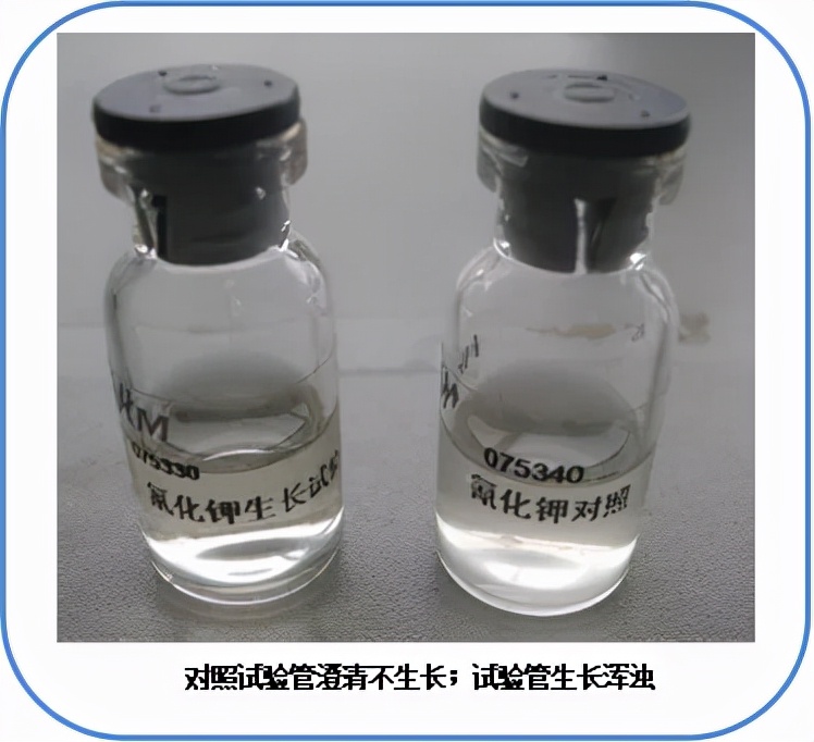 食品微生物沙门菌检验流程,食品中沙门氏菌的检测视频