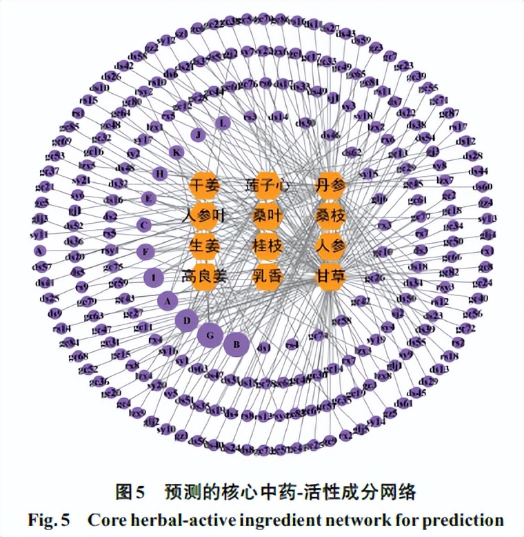 以铁死亡作为切入点，分析对特发性肺纤维化具有治疗作用的中药