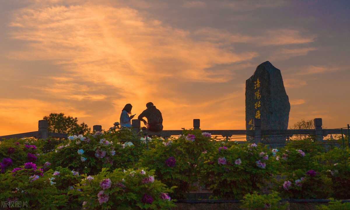 刘禹锡晚年字号,刘禹锡的来历