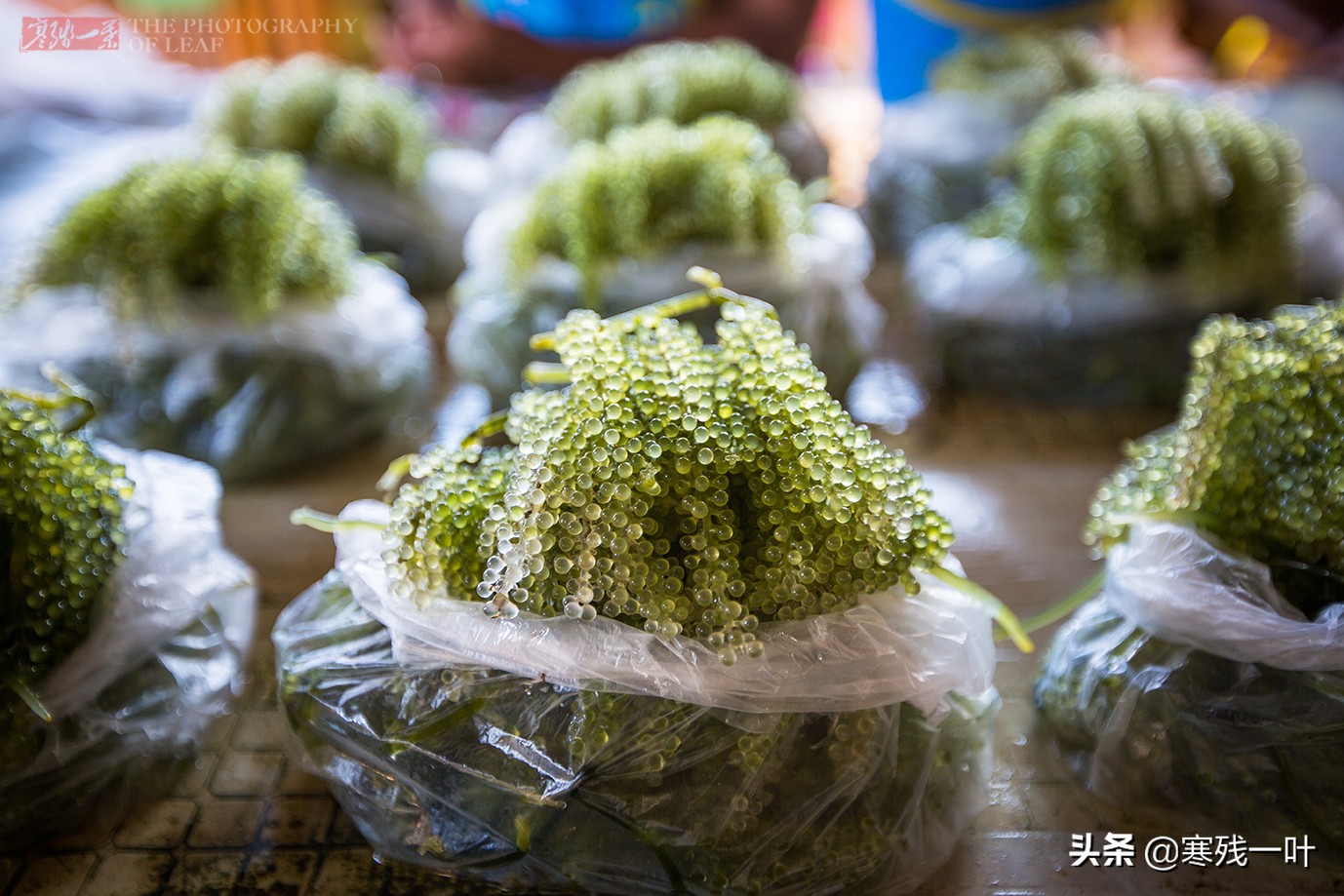 东南亚旅游物价低的地方,东南亚深山里物价