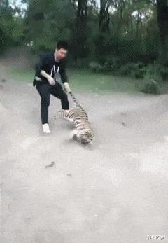 当代网友骂人能斯文到什么样子,网友骂人可以斯文到什么程度