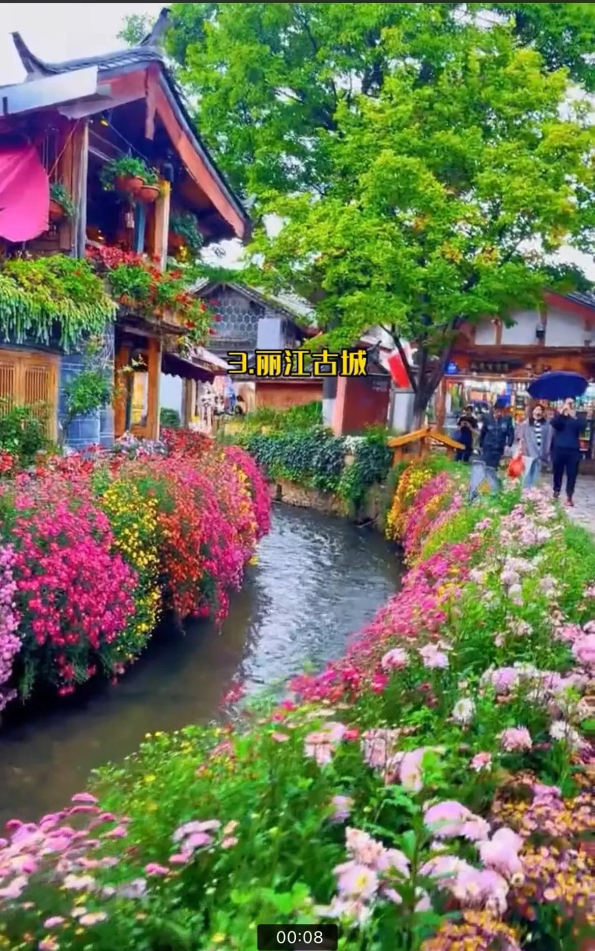 云南有哪些好看好玩的地方,云南冬季好玩的地方推荐