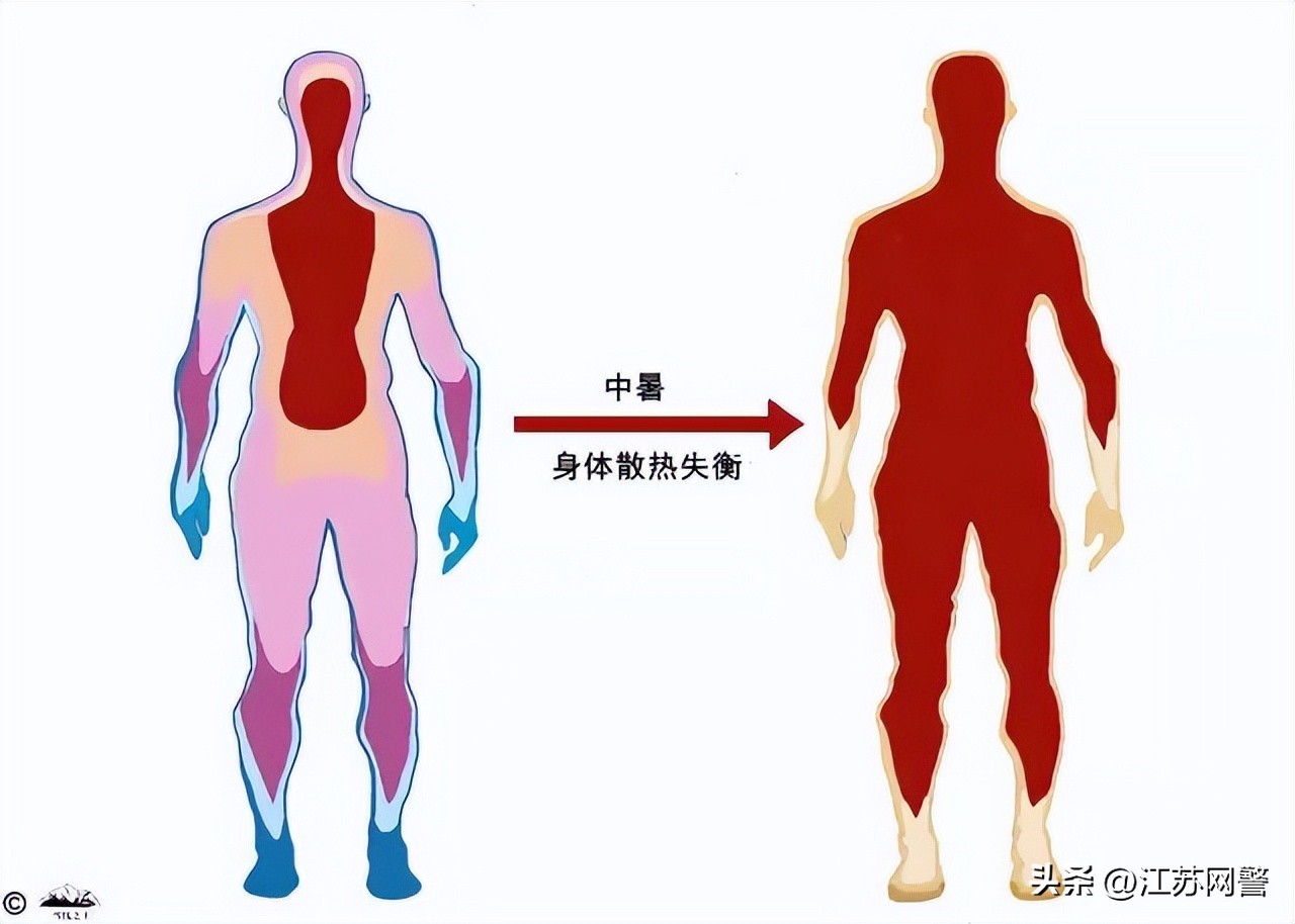 一女子爬山晕倒被消防员抬下山,镇江女子高铁晕倒
