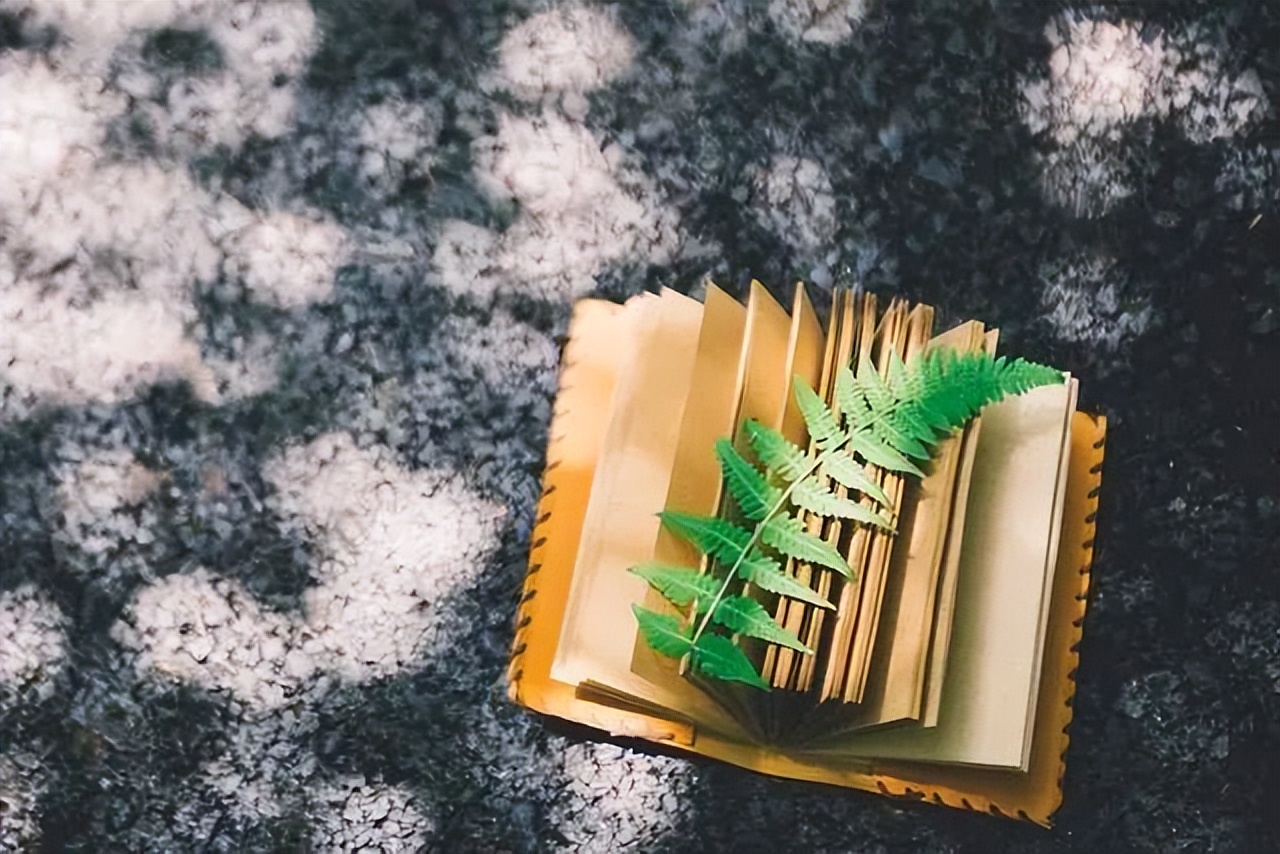 被人算计了，最聪明的做法不是翻脸，而是做好三件事