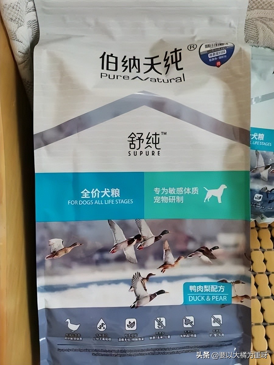 适合泰迪吃的狗粮推荐,怎么挑选灰泰迪狗粮