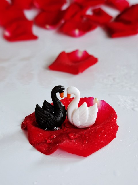 婚礼祝福词,婚礼祝福词200字