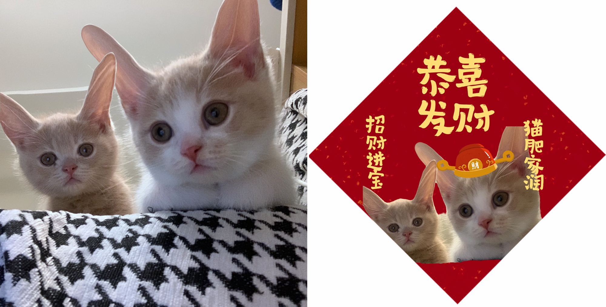 鏉窞濂冲瓙棰嗗吇鐚挭,鏉窞00鍚庡コ鐢熻璁″厰鐚〃鎯呭寘