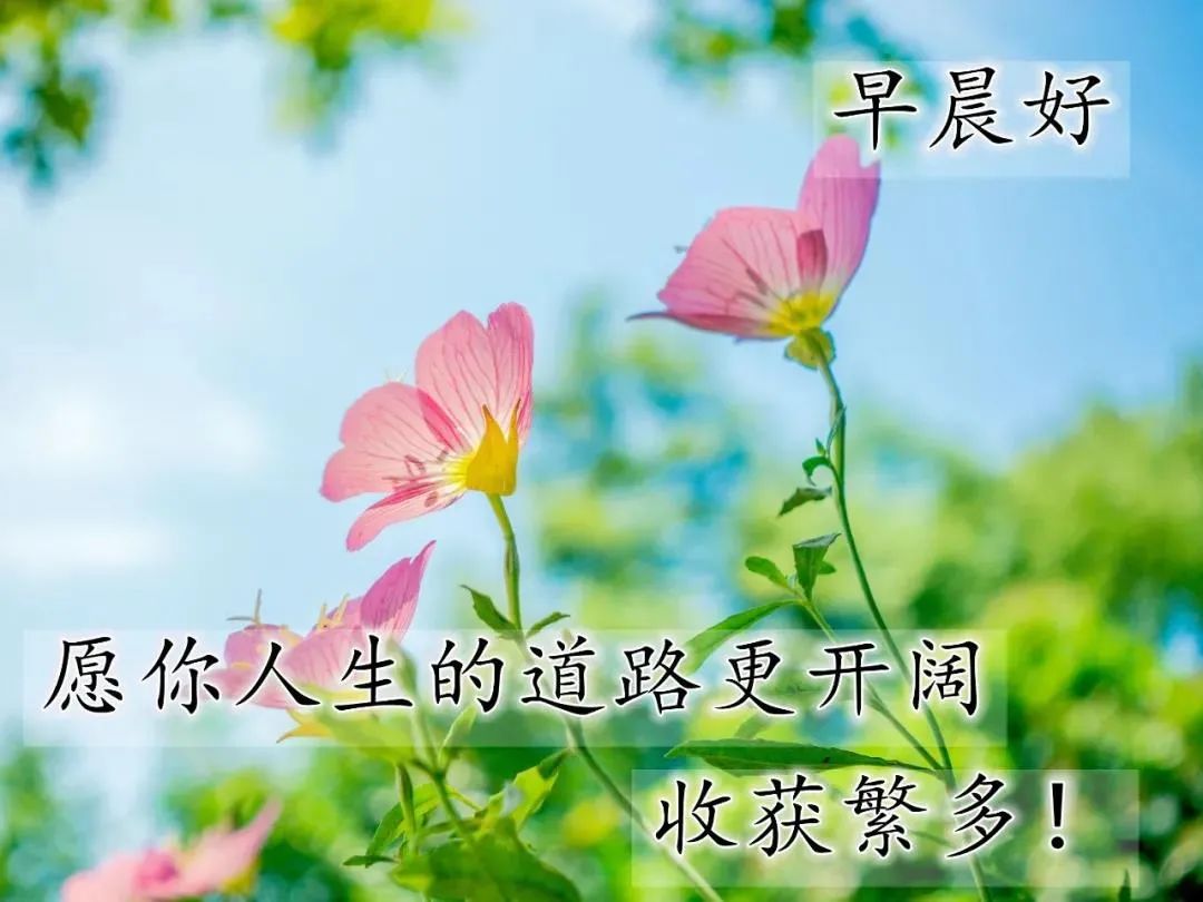 最新最美雨天早上好问候文字图片,夏日里最美的早晨问候图片大全