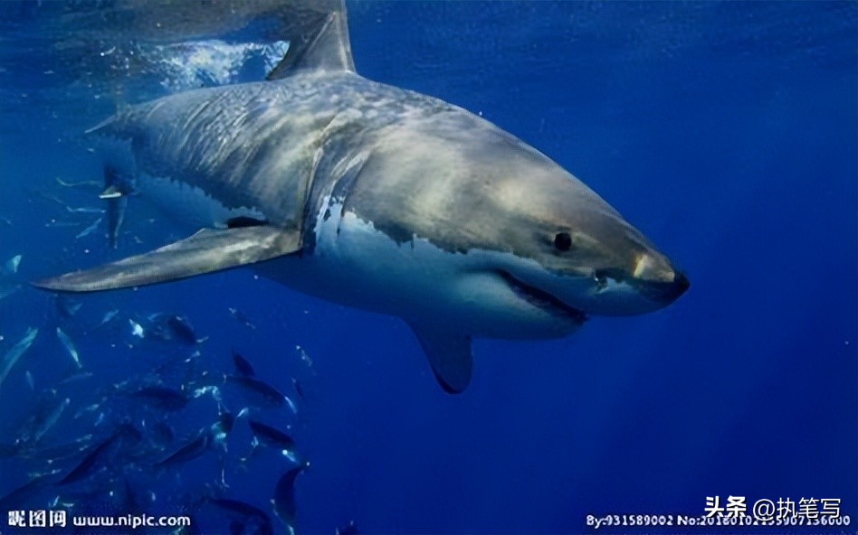 细思恐极冷知识：你害怕了吗？