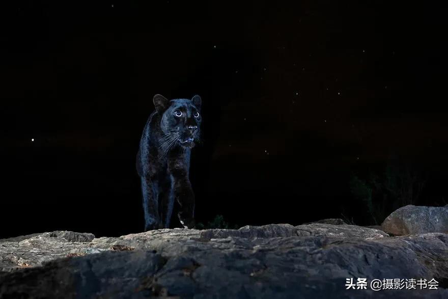 2018年度最佳摄影照片,创造出令人惊叹的自然摄影照片