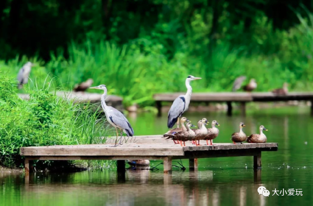 适合三天两夜的自驾亲子旅游胜地 (6条不同的游览路线供游客自由选)