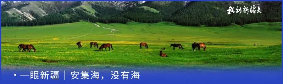 入疆旅游攻略,环疆旅游攻略大全