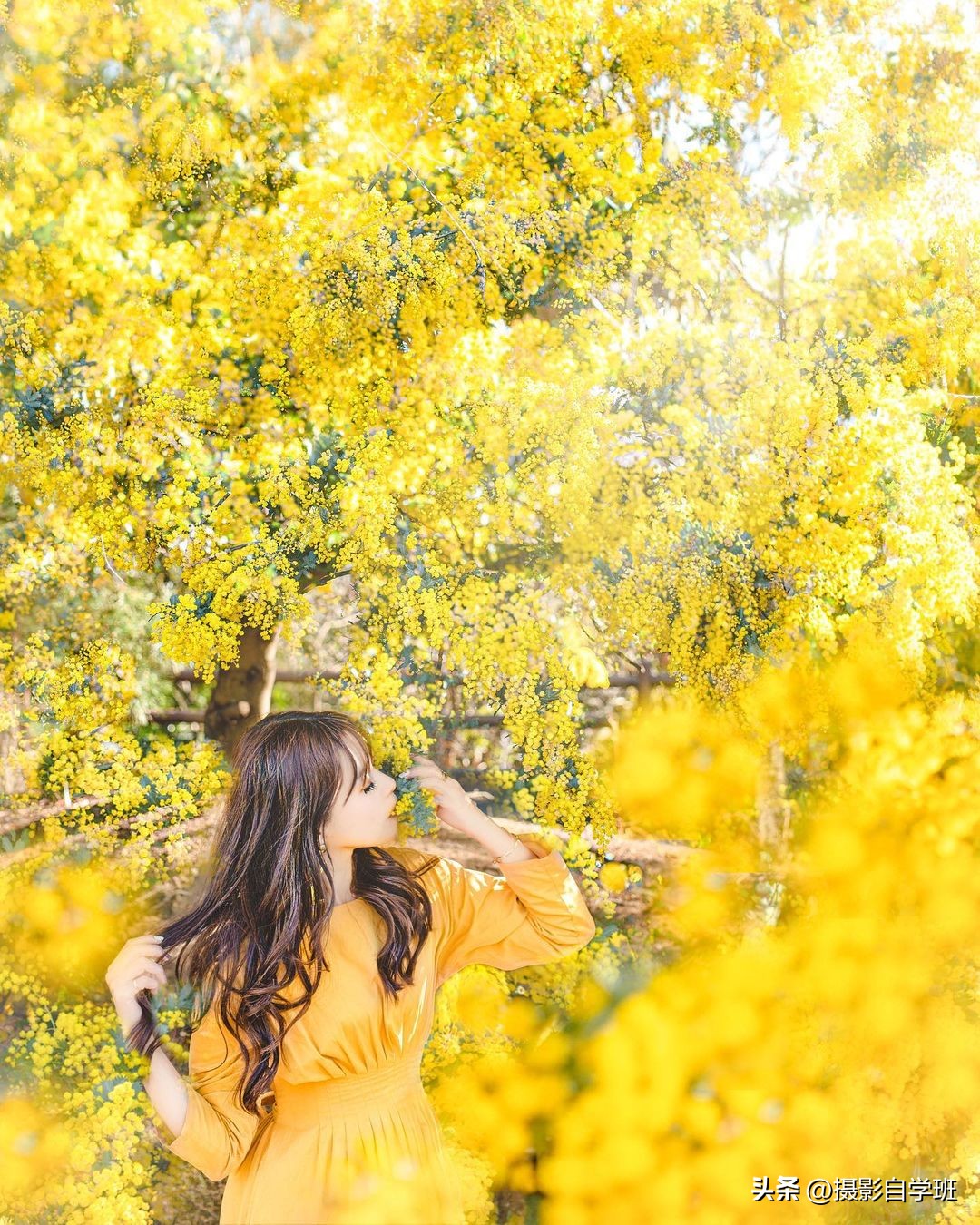 童话摄影拍摄技巧大全,童话风写真拍摄技巧