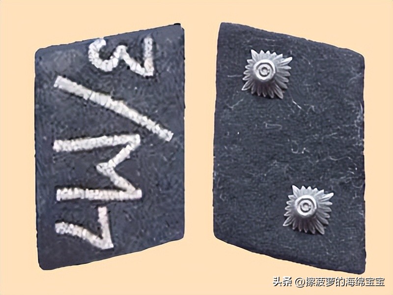 纳粹冲锋队用的什么枪,纳粹德军军衔图解