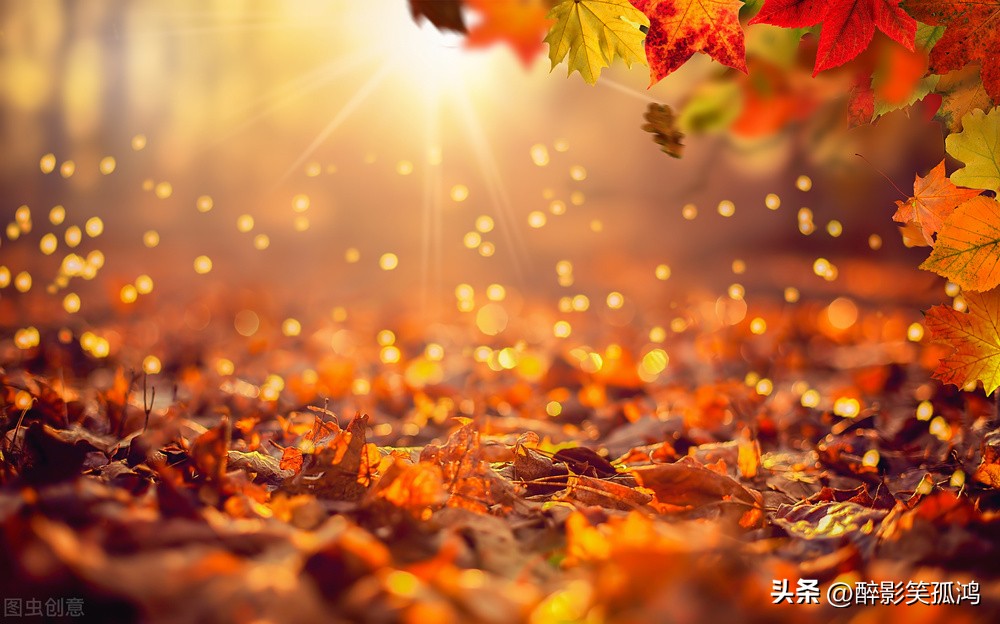 语文三年级上册第5-6单元重点习题,三年级上册语文人教版单元复习题