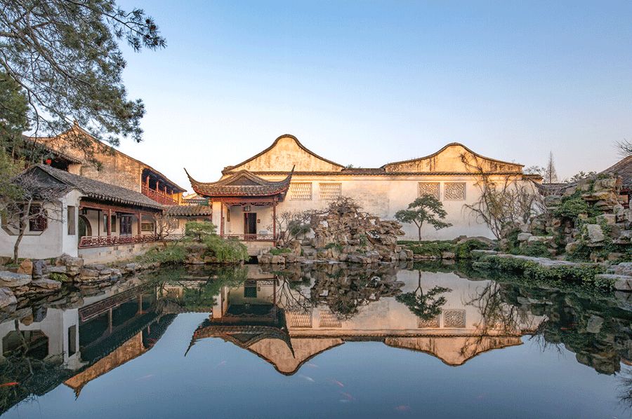 日本枯山水景观,日本枯山水中的树是什么树