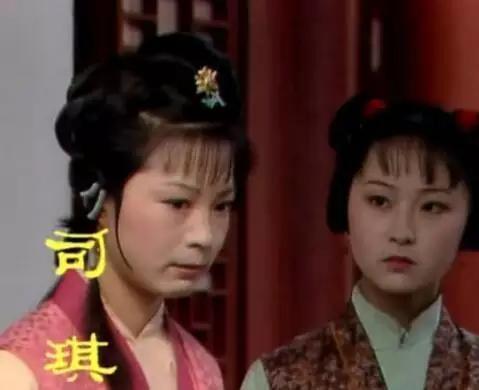 红楼梦讲的就是内讧,红楼梦里面的乱象