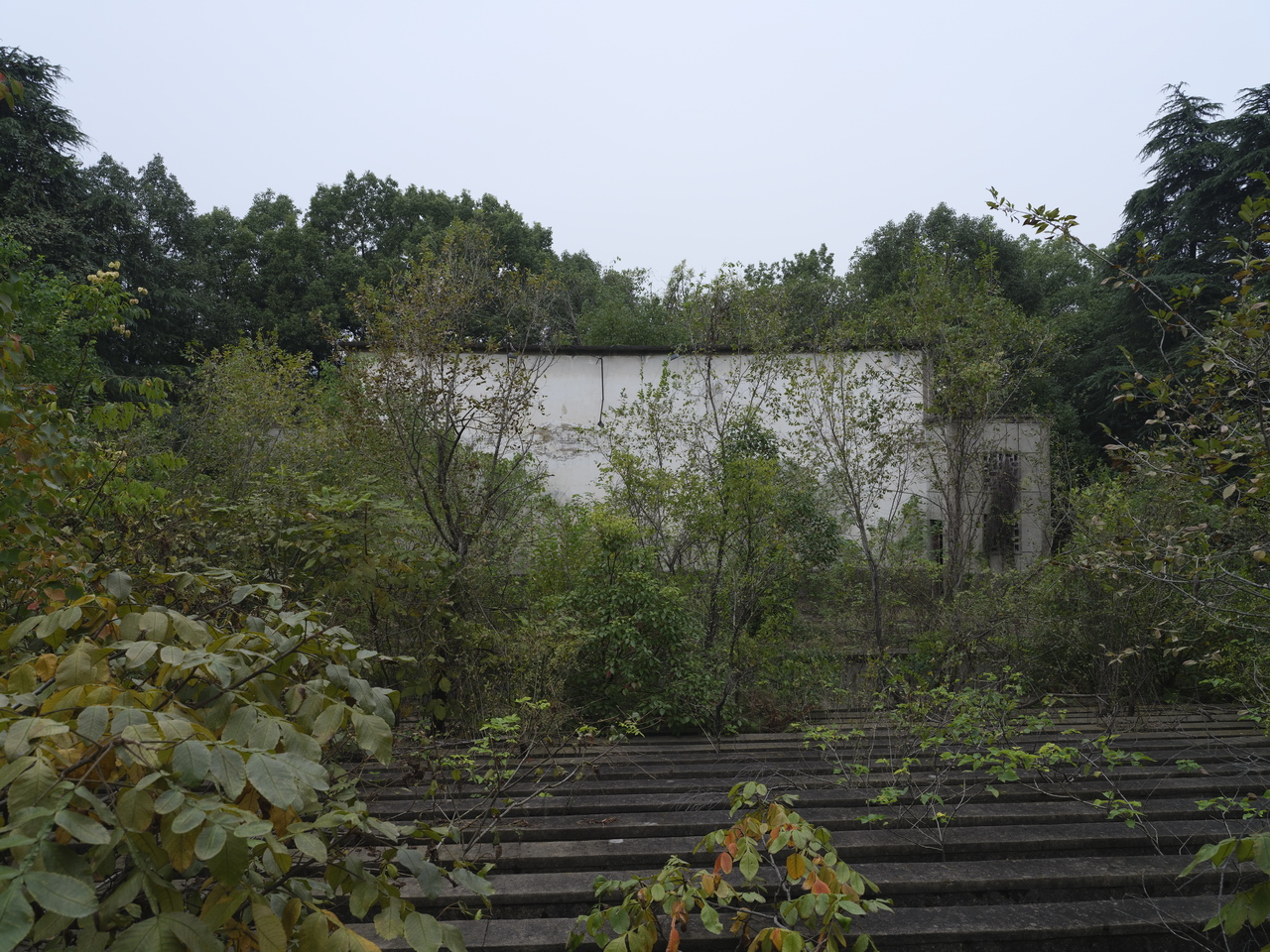 三线系列之53：湖北襄阳国营青山机械厂（国营3015厂）