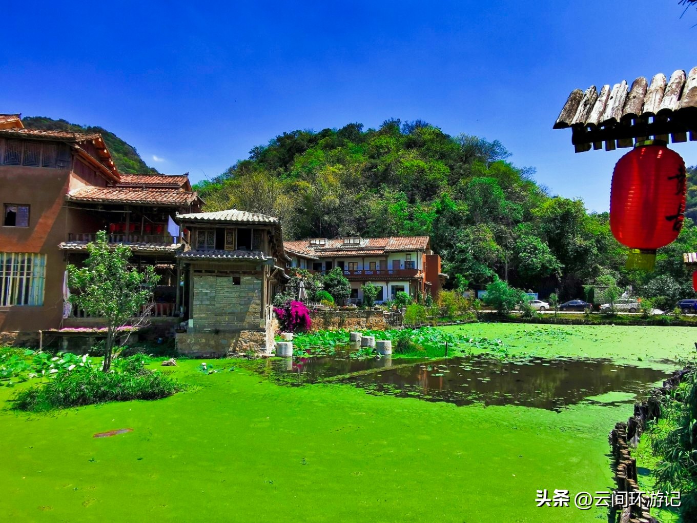 「流离在核酸检测时代的旅行」(普者黑）