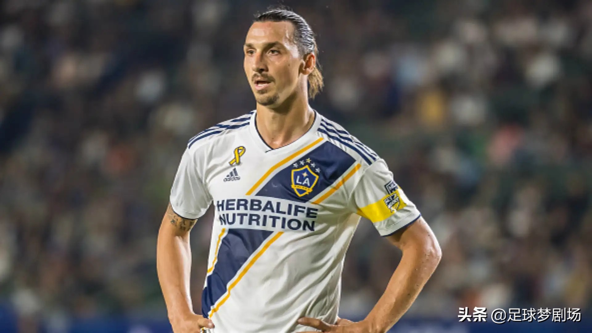 美职篮历史十大巨星,世界上最好的10号球员美职联