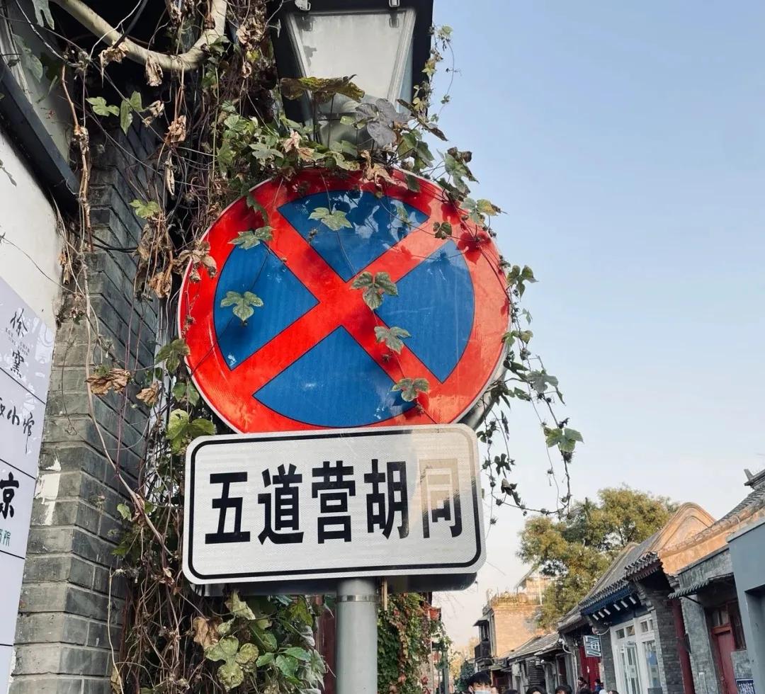 胡同逛游指南，在北京这4条胡同里邂逅别样秋色