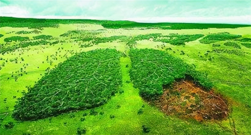 百合固金丸养阴润肺的中成药,专治口干鼻干百合固金丸