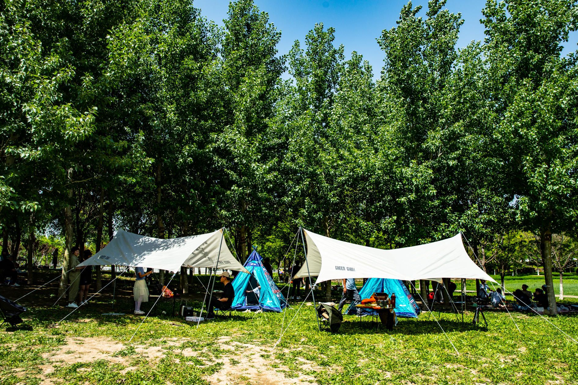 双11好物推荐视频,双11好物推荐数码