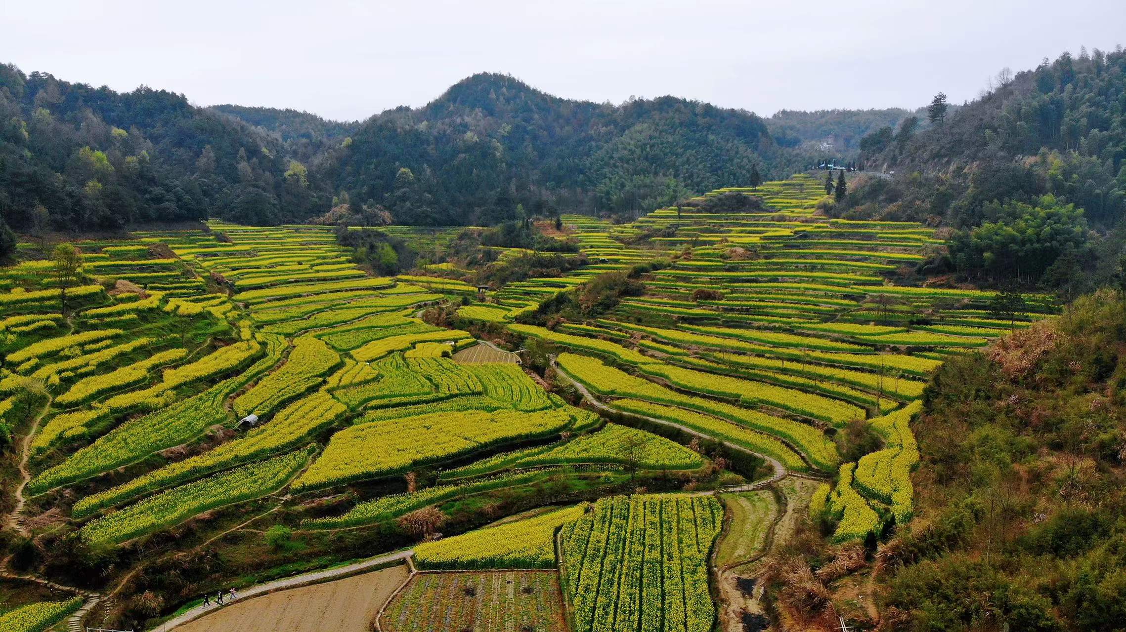 安徽小众但绝美的旅游地点,安徽周边小众宝藏旅行地