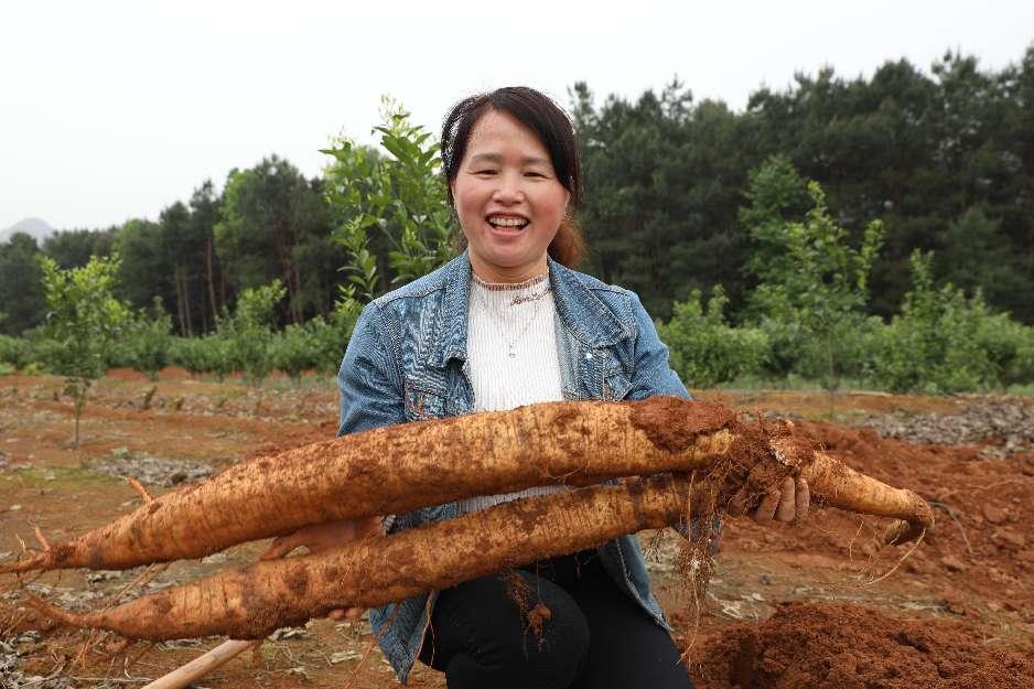 退役女兵创业故事,回乡创业优秀妇女故事