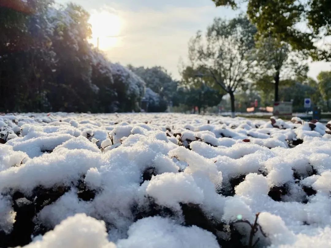 24节气大雪高清动图大图,大雪节气后就会下雪了吗