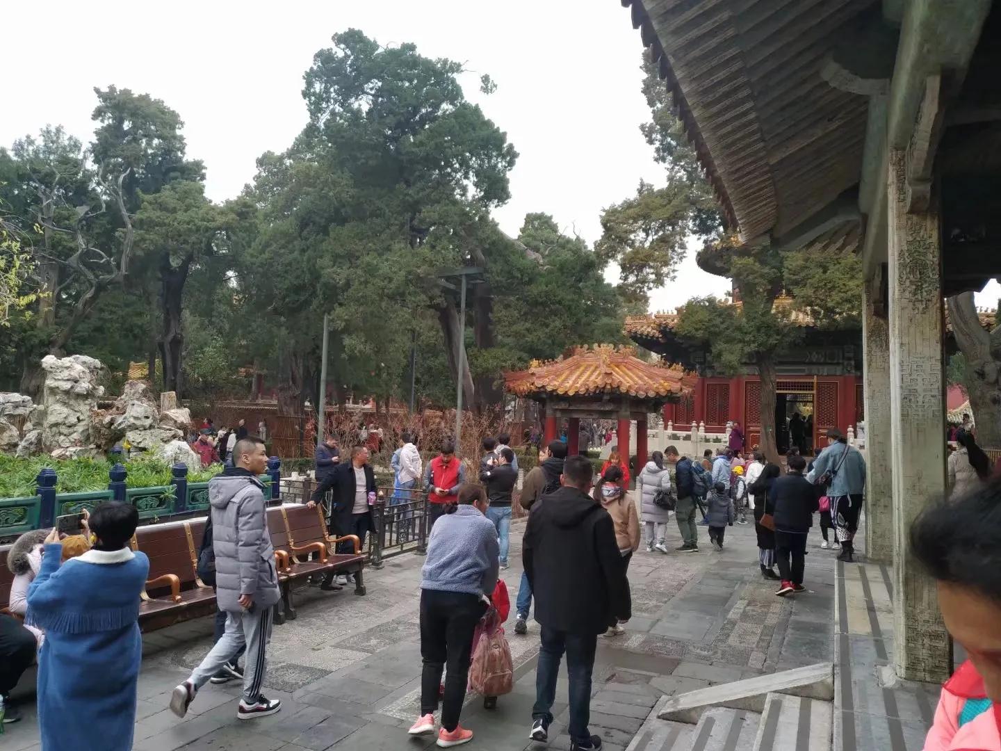 故宫一日游游玩攻略最佳路线,故宫一日游参观路线图及说明