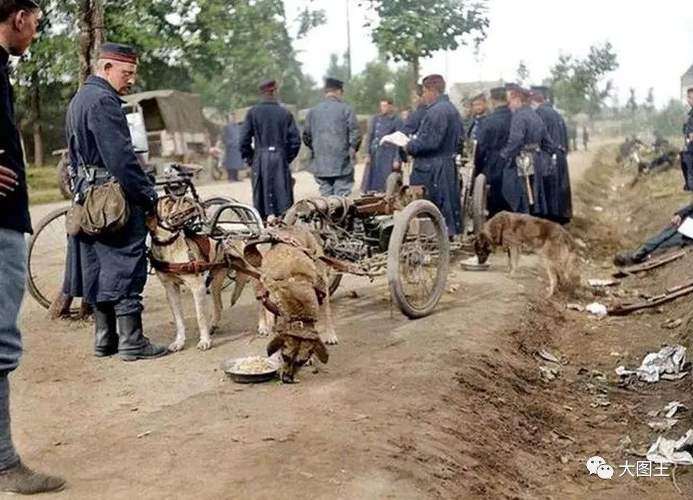 享受悠闲照片,看着比较享受生活的照片