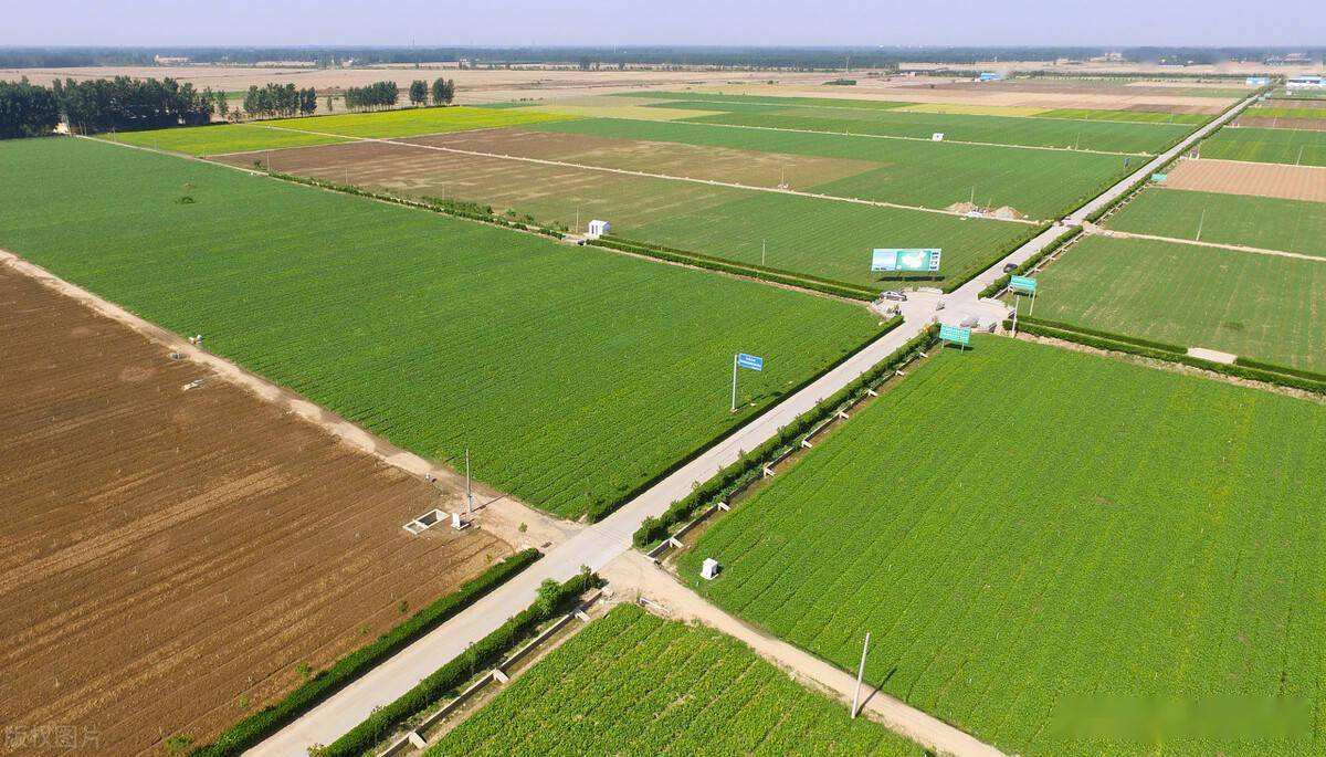 年轻人不回村，20年后农村没人，谁来种地？又有新答案了