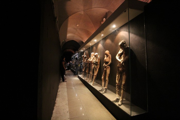 奇幻博物馆森林之旅,奇幻之旅博物馆