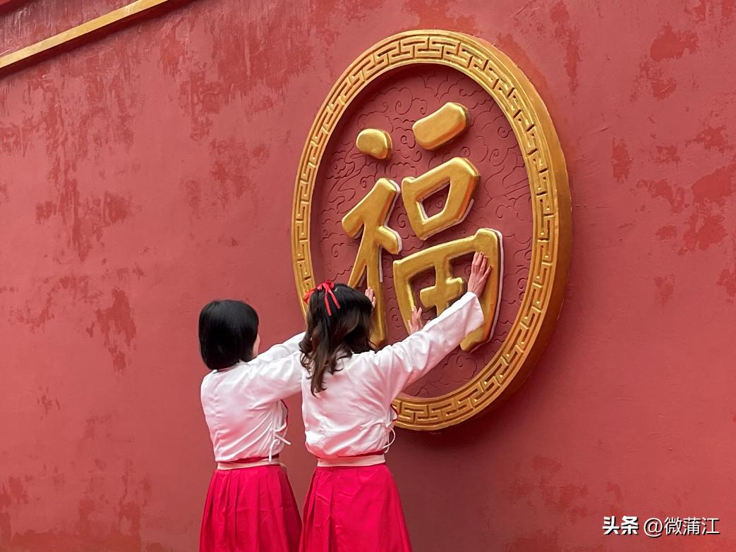 成都市全面推进乡村振兴意见建议,蒲江县乡村振兴