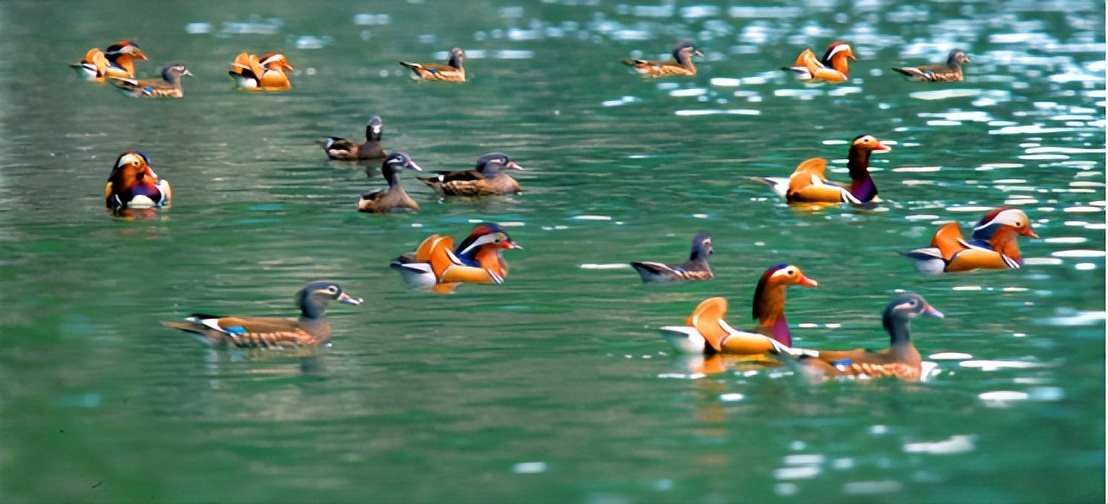 贵州文旅知识趣味挑战大赛决赛,贵州文旅知识趣味挑战大赛奖品