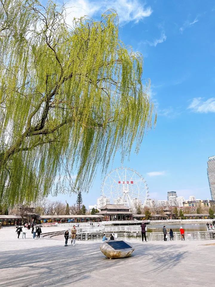 天津遛娃好地方,天津遛娃的免费公园