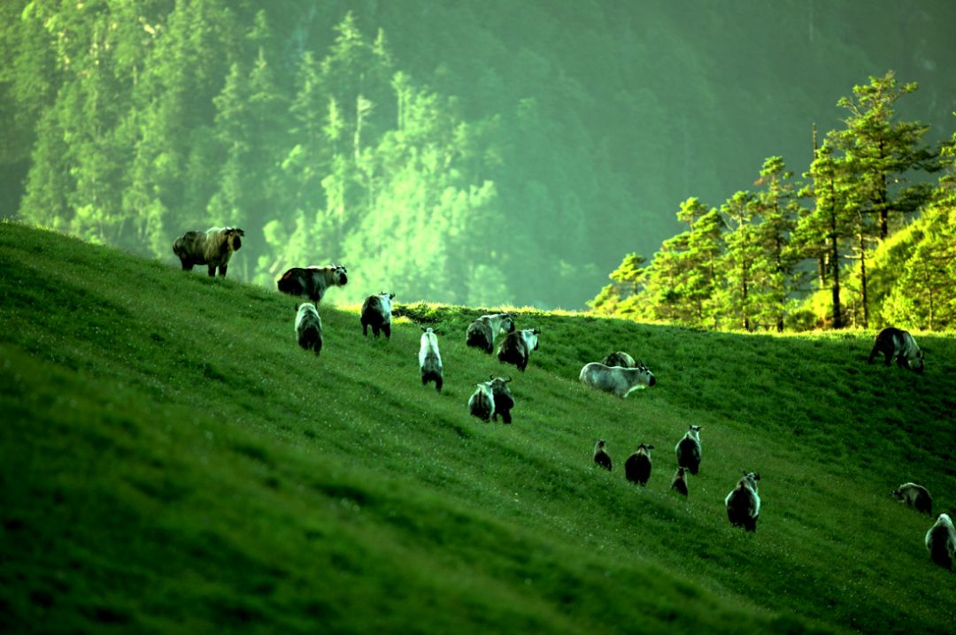 女儿节值得去的景区,女儿节景区免费游玩