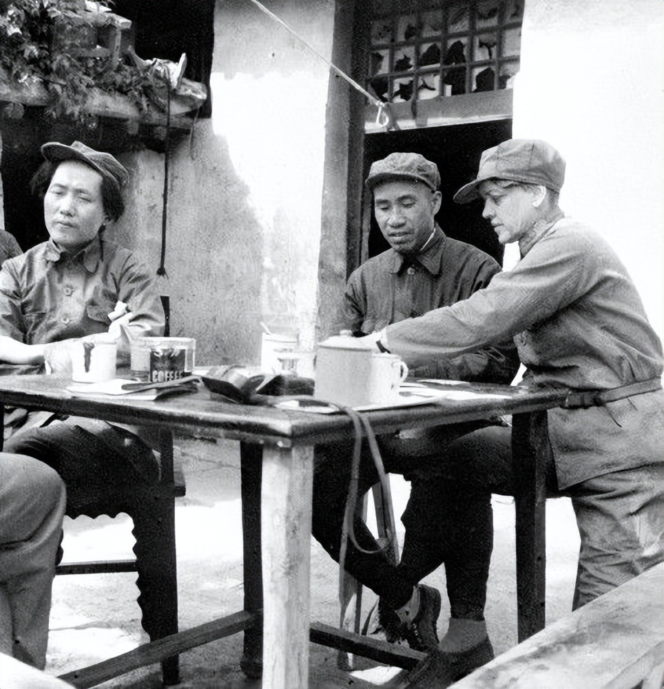 死后被葬在八宝山的女人,葬在八宝山的北大才女