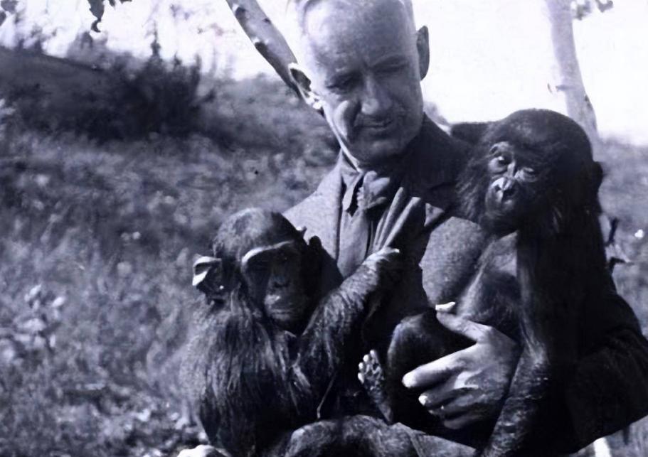 日本人兽杂交实验被允许，这是否违背伦理常纲？是创新还是灾难？