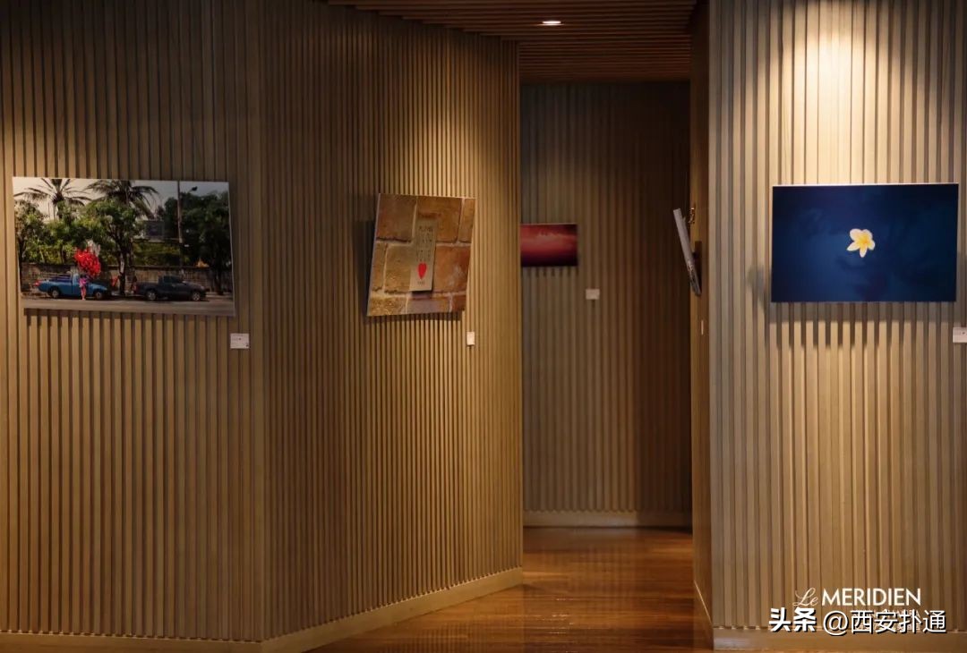 西安5月看展指南,西安五一看展指南