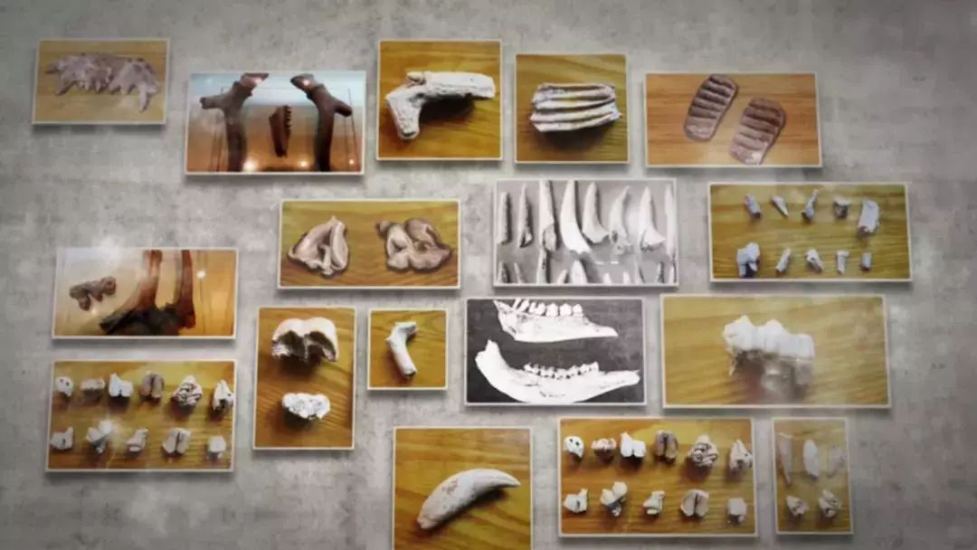 安徽省和县简介,史话中国