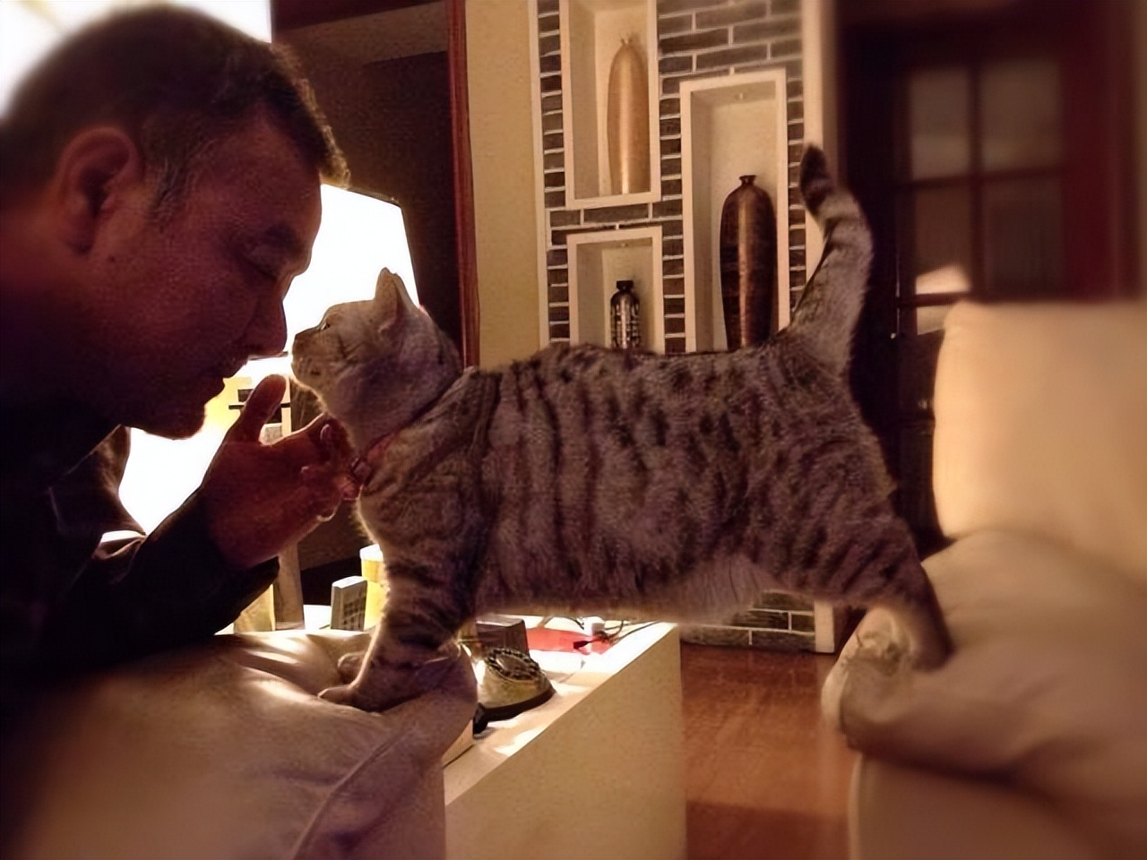 江洪守门员离开陕西联合了吗,守门员江洪现状