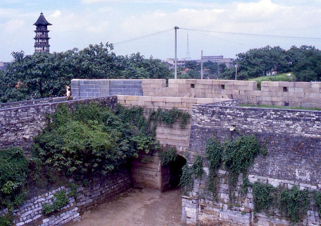 日军日记：*安妇慰**不服从管教，我很愤怒，用*刀刺**插入她的*体下**