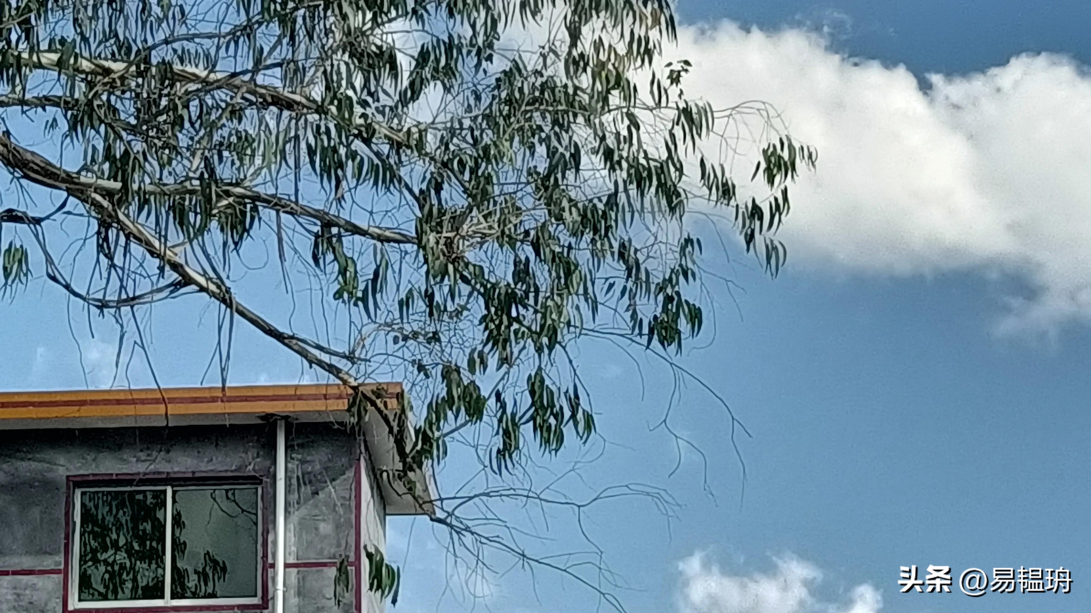 中考心理调节的十个方法,预防心理疾病的十大方法