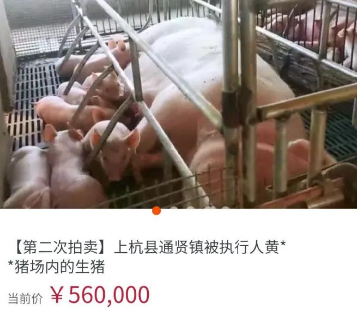 闲鱼捡漏怎样不被坑,新手玩闲鱼千万别把闲鱼想得太难