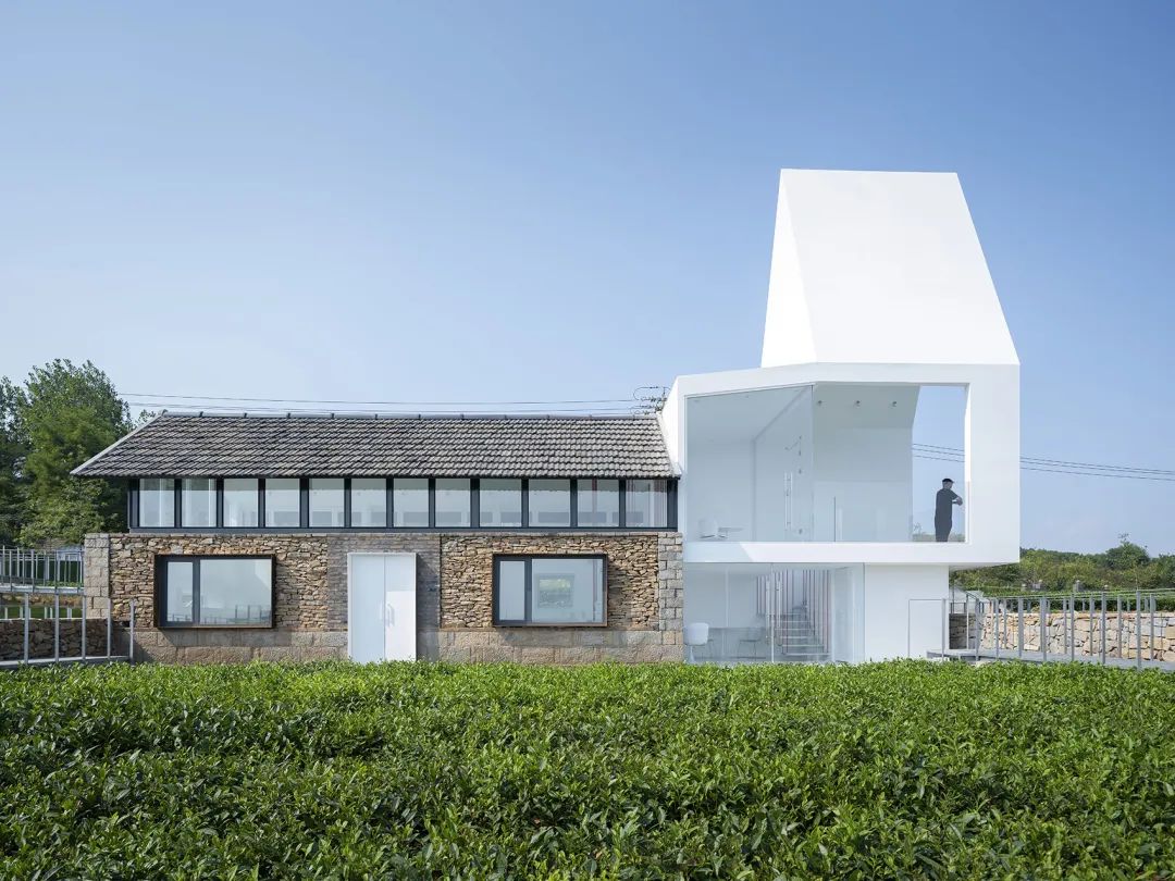 中国茶申遗成功吗,中国茶申遗成功44项名单