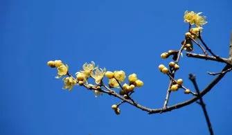 每日一句英语,每日一习