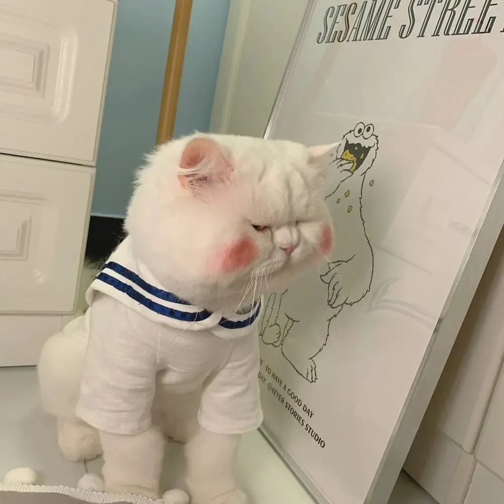 婚后文推荐文笔好的,婚后文推荐有娃